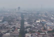 Ketika Hutan Kehilangan Napas Manusia Ikut Kehilangan Udara